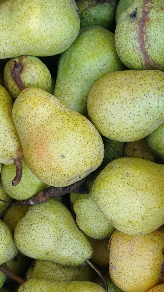 A close-up of freshly harvested ripe pears showcasing their natural texture and color.